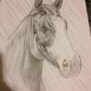 Horse Portrait 2