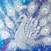 Silver peacock