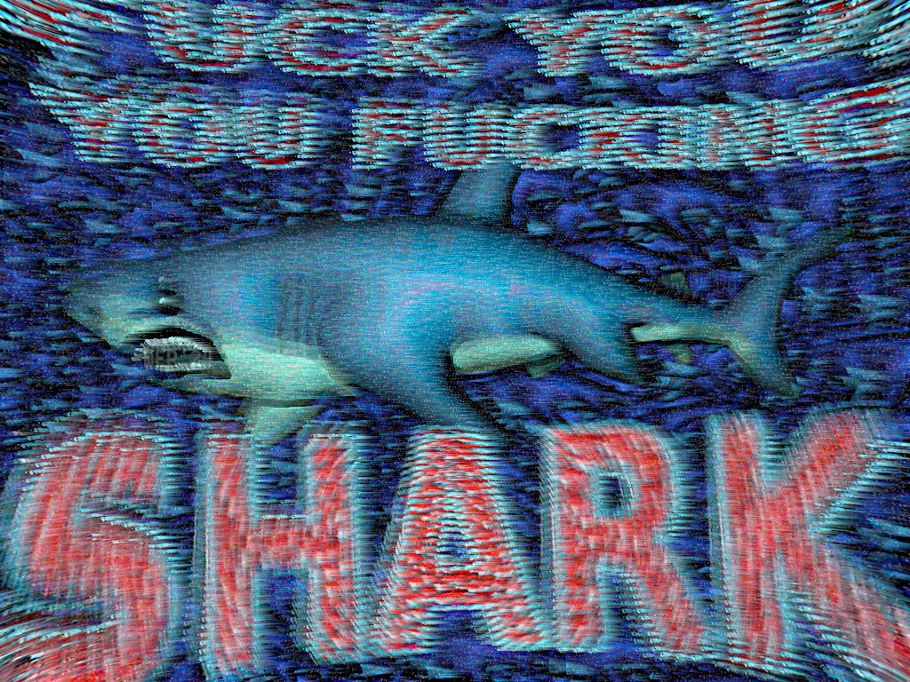 Shark