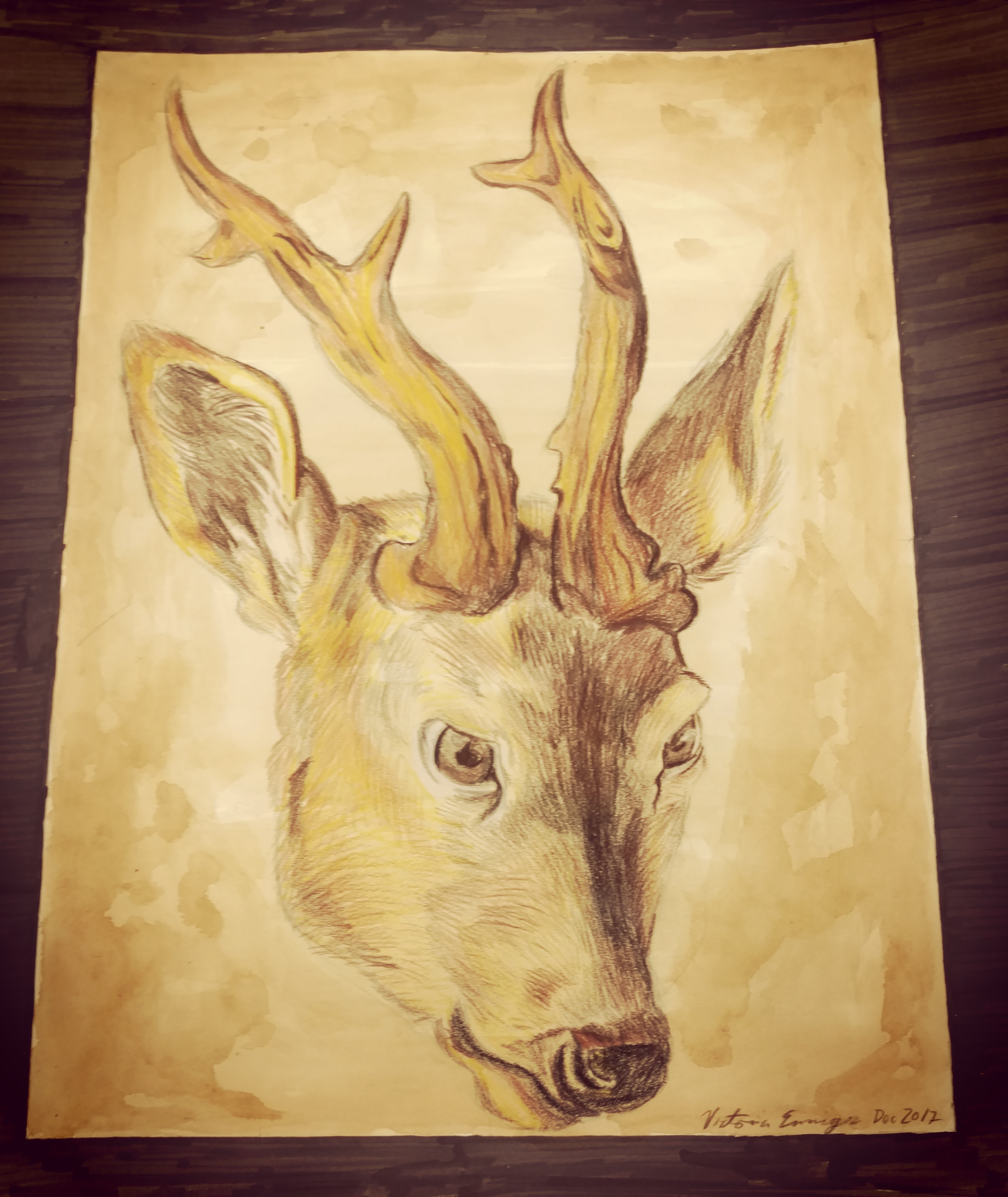 DEER HEAD [Dec 13, 2017]