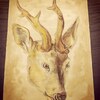 DEER HEAD [Dec 13, 2017]