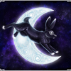 Black Rabbit of Inle