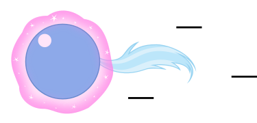 Trixie Lulamoon Spin Dash