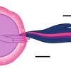 Twilight Sparkle Spin Dash