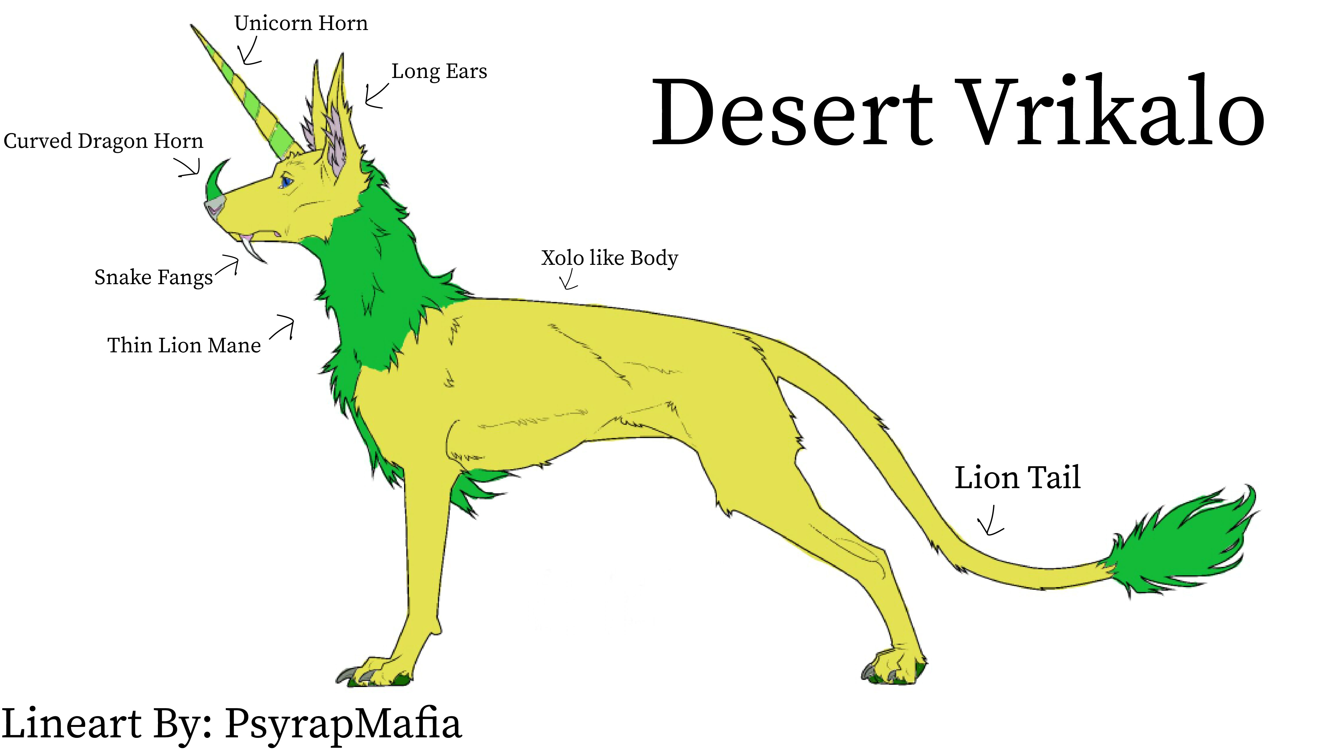 Desert Vrikalo Anatomy