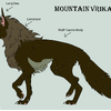 Mountain Vrikalo Anatomy