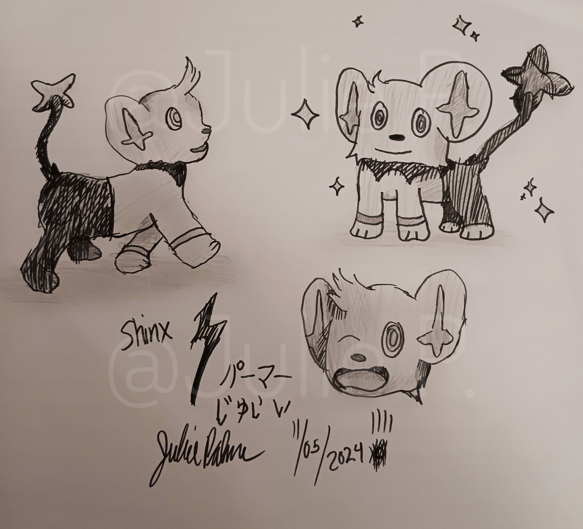 Shinx Studies for Shiny Manifest