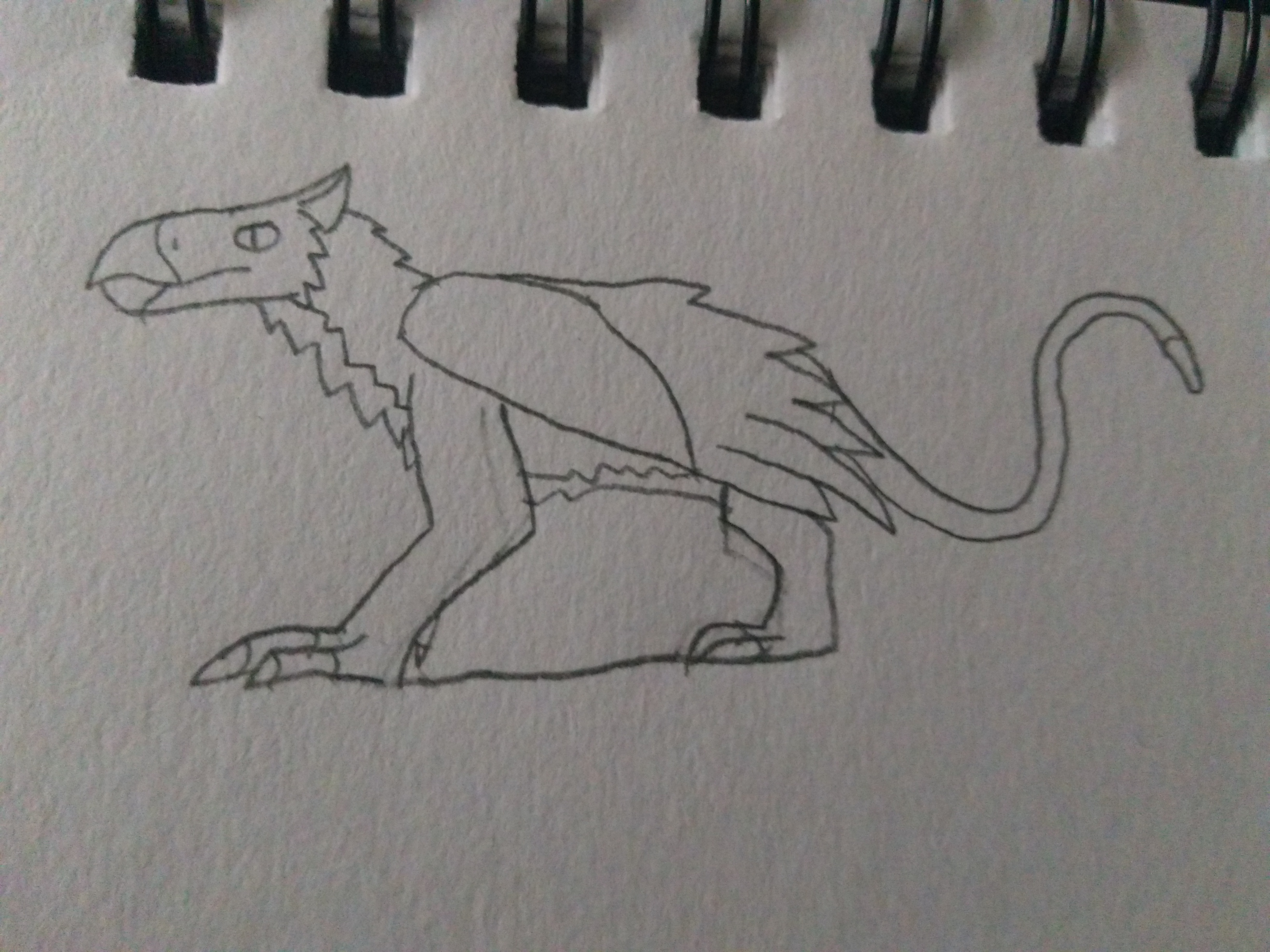 Griffin sketch