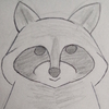 Raccoon Sketch