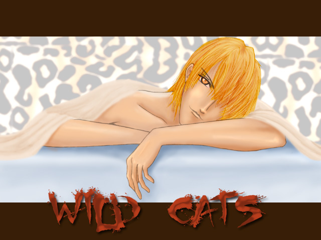 Wild Cats