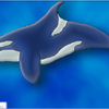 Orca