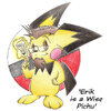 'Erik is a Wise Pichu'