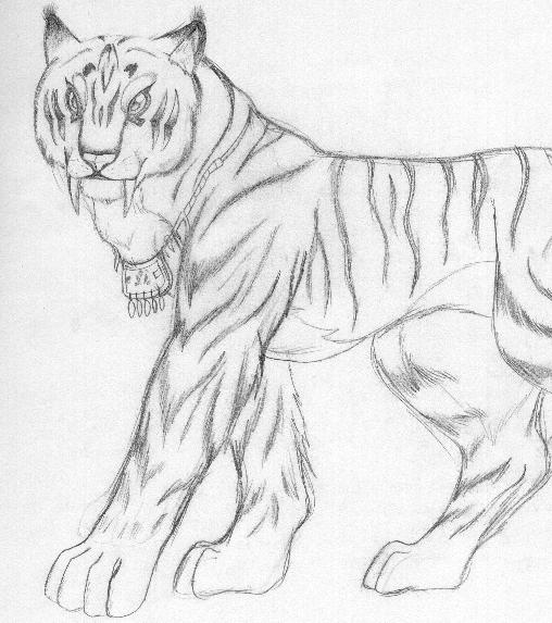 Tyger Hispo Form