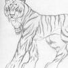 Tyger Hispo Form