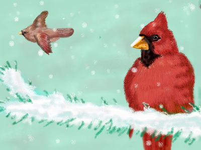 cardinals