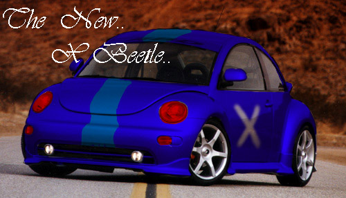 X beetle