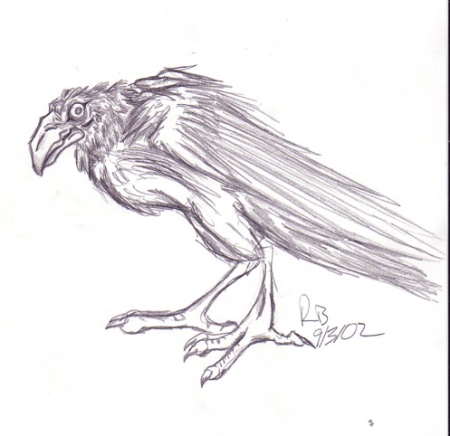 Crow