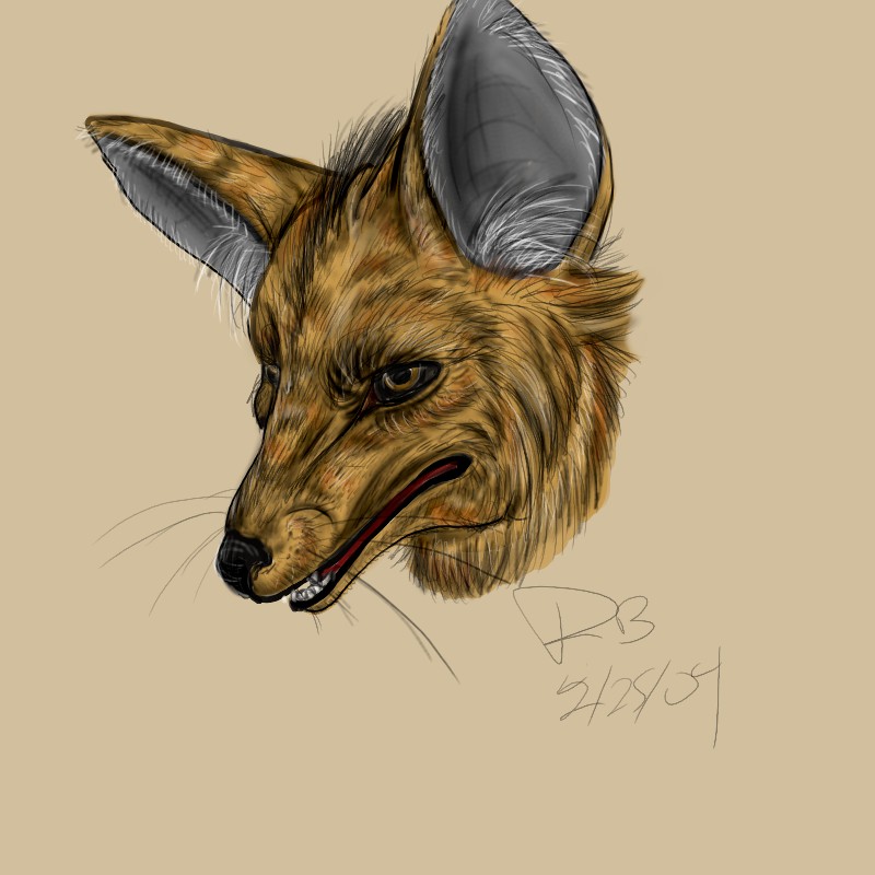 Maned Wolf Head