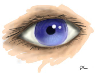 Eye