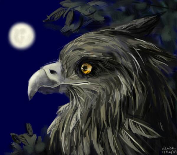 Sleepless Gryphon