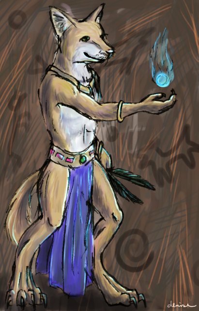 Ceremonial Dingo