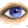 Eye