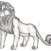 Unnamed Lion