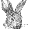 Rabbit sketch