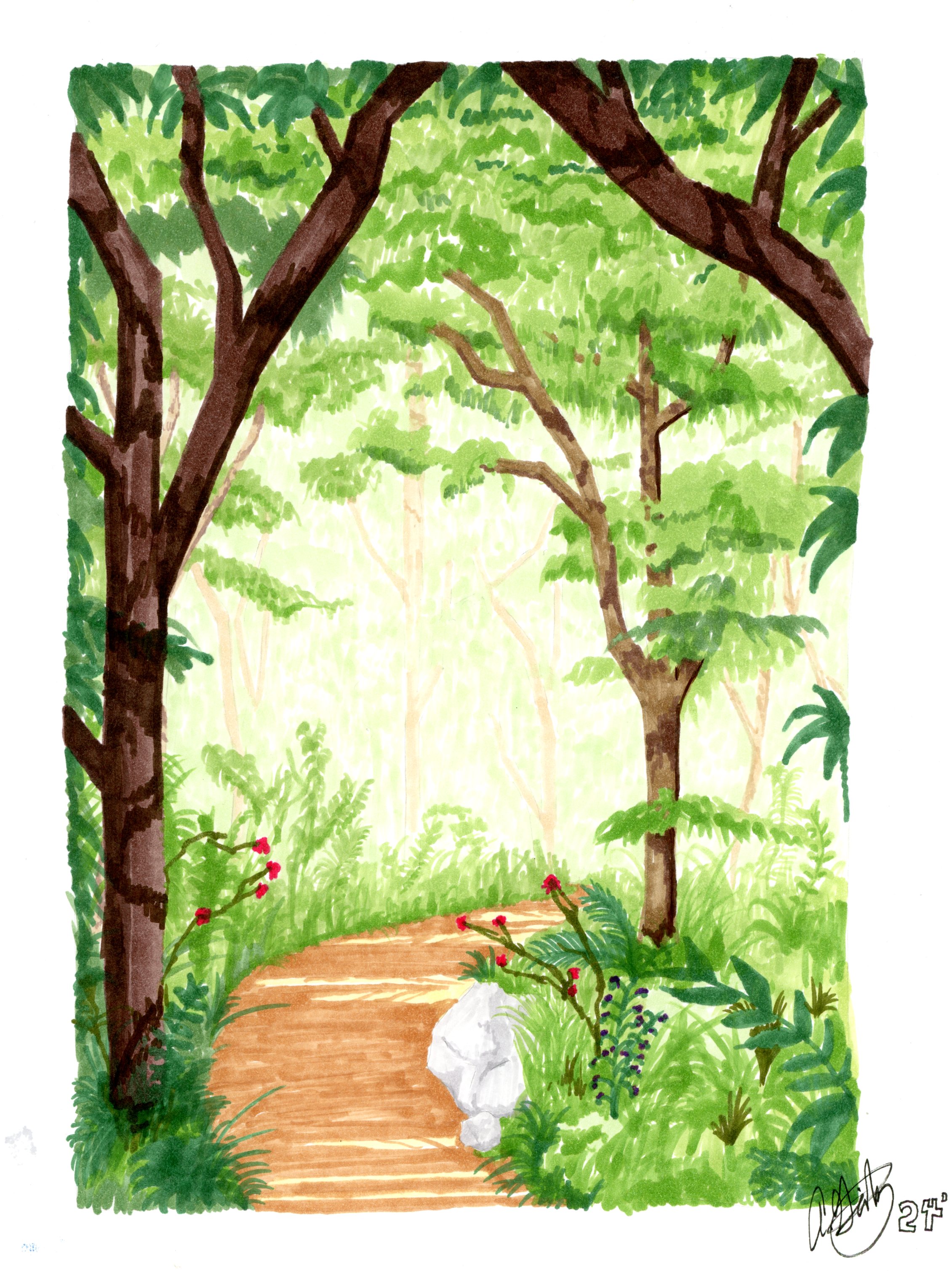 Forest Path