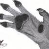 Werewolf hand