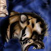 Tiger Transformation-colored