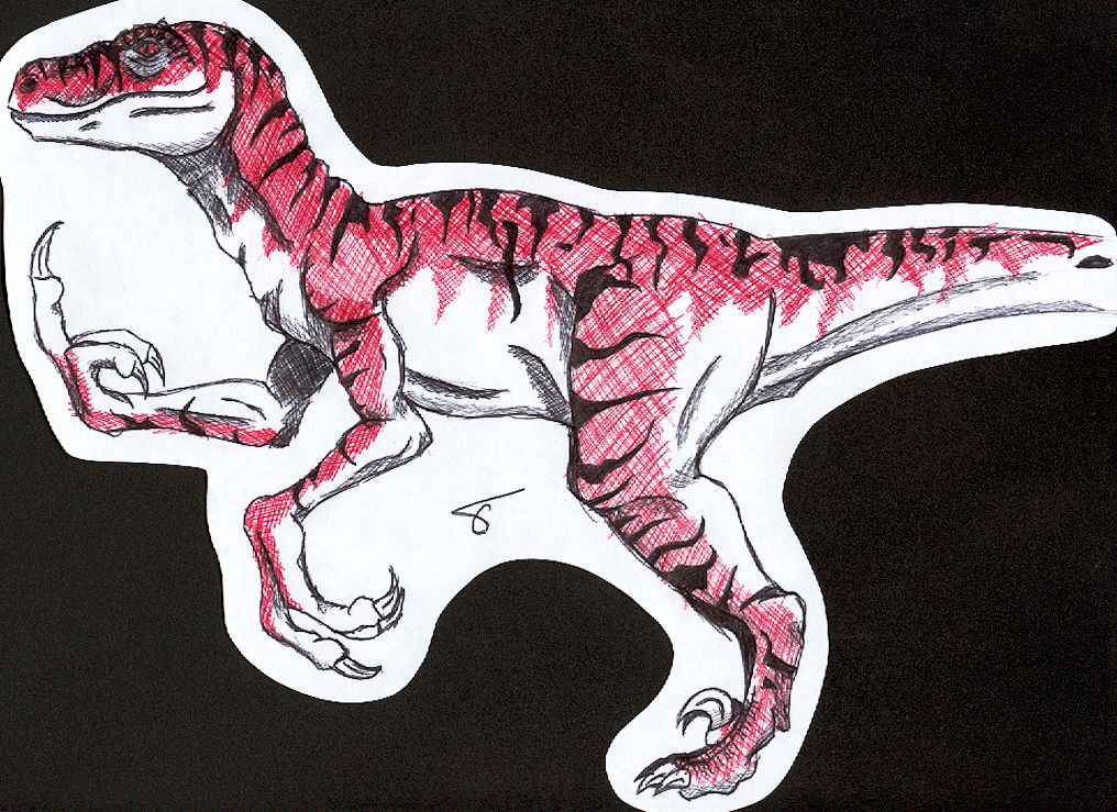 Biro Raptor