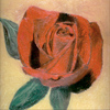 A rose