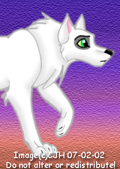 A white wolf