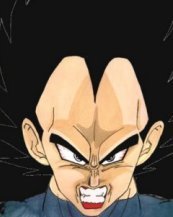 Evil Vegeta