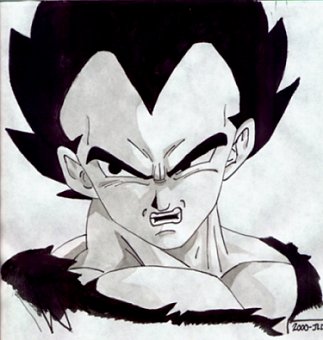 Snarling Vegeta