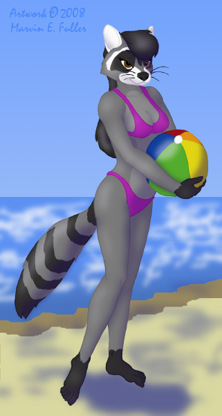 Beach Coon