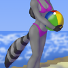 Beach Coon