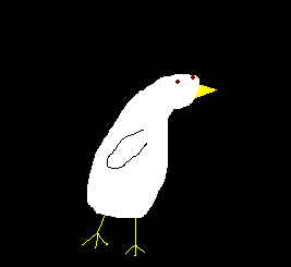 A Chicken Bird