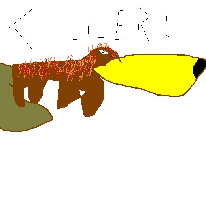 Killer