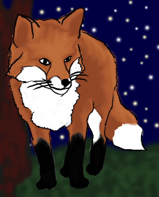 Fox with Stars