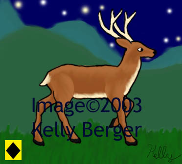 White-tailed Deer