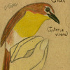 Yellow-breasted Chat