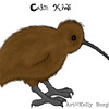 Calm Kiwi