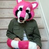 Pink Raccoon