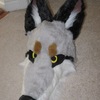 Grey Folf Head