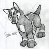 Houndour Sketch