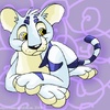 White Kougra