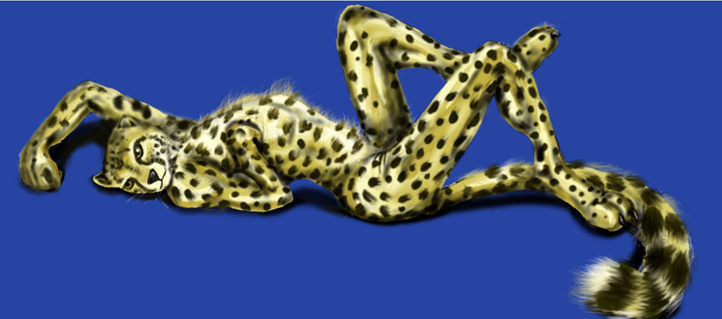 Cheetah