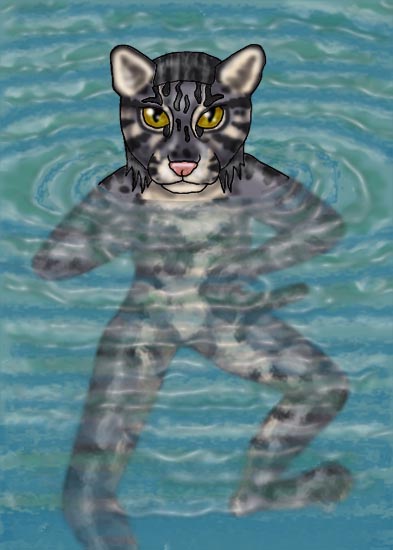 Fishing Cat Swimming